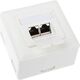 InLine Gniazdo natynkowe sieciowe 2x RJ45 Cat.6 - białe poziome (75602J)