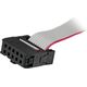 StarTech Adapter na śledziu IDC 10 pin - DB-9 (PLATE9MLP)