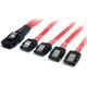 StarTech SFF 8087 - SATA x4, 0.48m, Czerwony (SAS8087S450)