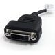 Adapter AV StarTech DisplayPort - DVI-D 0.2m czarny (DP2DVIS)
