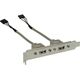 InLine Śledź 2x USB 2.0 Typ A żeński (33390)