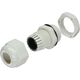 Organizer InLine Dławik Biały 10 sztuk  (44012)