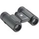 Lornetka Olympus Slim 10x21 RC II WP, czarny (V501054BE000)