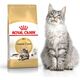 Royal Canin Maine Coon Adult karma sucha dla kotów dorosłych rasy maine coon 4 kg