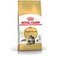 Royal Canin Maine Coon Adult karma sucha dla kotów dorosłych rasy maine coon 4 kg
