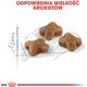 Royal Canin Kitten karma sucha dla kociąt od 4 do 12 miesiąca życia 4kg