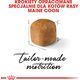 Royal Canin Maine Coon Kitten karma sucha dla kociąt, do 15 miesiąca, rasy maine coon 2kg