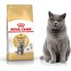 Royal Canin British Shorthair karma sucha dla kotów dorosłych rasy brytyjski krótkowłosy 2kg