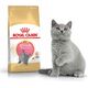 Royal Canin British Shorthair Kitten karma sucha dla kociąt, do 12 miesiąca, rasy brytyjski krótkowłosy 2kg