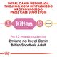 Royal Canin British Shorthair Kitten karma sucha dla kociąt, do 12 miesiąca, rasy brytyjski krótkowłosy 2kg