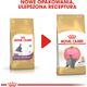 Royal Canin British Shorthair Kitten karma sucha dla kociąt, do 12 miesiąca, rasy brytyjski krótkowłosy 2kg