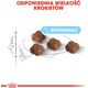 Royal Canin Mother & Babycat 36 2 kg