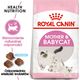 Royal Canin Mother & Babycat 36 2 kg