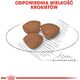 Royal Canin SHN Mini Puppy BF 2 kg
