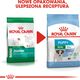 Royal Canin SHN Mini Puppy BF 800g