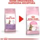 Royal Canin Second Age Kitten Sterilised 0.4 kg