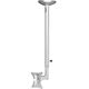Neomounts Uchwyt sufitowy FPMA-C050SILVER 10'' - 30''