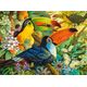 Castorland 3000 Interlude (300433)