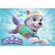Ravensburger Puzzle 2x24 Psi Patrol Sky&Everest (091522)