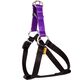 Dingo Fred Energy rozmiar 50 szer. 1.6 cm Fioletowe (94632)