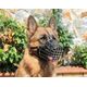 Dingo Kaganiec metalowy z wkładką plastikową Rottweiler duży - nr 7a