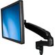 StarTech Uchwyt ścienny na monitor do 34" (ARMPIVWALL)