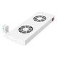 Digitus Klimatyzator 483mm 2 wentylatory Szary (DN-19 FAN-2-HO)