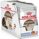 Royal Canin AGEING w galaretce 85 g