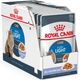 Royal Canin ULTRA LIGHT Feline w galaretce 85g