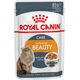 Royal Canin Intense BEAUTY Feline w galaretce