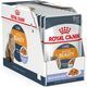 Royal Canin Intense BEAUTY Feline w galaretce