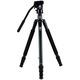 Statyw Sirui R-2004 + VH-10 (6952060002897)