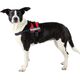 Trixie Szelki Julius-K9 , Mini/M: 51–67 cm, czerwone