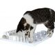 Trixie Zabawka dla kota: Cat Activity Fun Board, 30 × 40 cm, biała