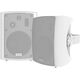 Kolumna Vision SP-1800 50 W
