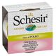 Schesir SCHESIR KOT 70g pusz. KURA RYŻ