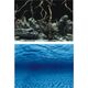 Aqua Nova TŁO L 100X50 ROOTS/WATER