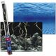 Aqua Nova TŁO S 60X30 ROOTS/WATER