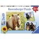 Ravensburger Puzzle 3x49 Kochane Konie (080113)