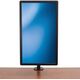 StarTech Uchwyt biurkowy na monitor 13" - 34" (ARMPIVOTB)