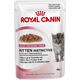 Royal Canin PAKIET żel 12x85g KITTEN