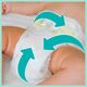 Pampers Pieluchy Premium Care 3, 4-9 kg, 60 szt.