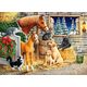 Castorland Puzzle Gathering Friends 300 elementów (241103)