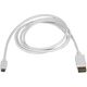Kabel USB StarTech USB-C - DisplayPort 1.8 m Biały (CDP2DPMM6W)