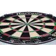 Harrows Tarcza sizalowa Oficial Competition 45.7 cm (T1121)