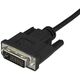 Adapter AV StarTech DVI-D - DisplayPort + USB-A czarny (DVI2DP2)
