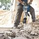 Bosch Młot wyburzeniowy GSH 16-28 1750 W