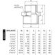 Perfexim Nypel redukcyjny mosiężny GZ 2 x 3/2" (07-007-5040-000)