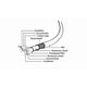 Kabel USB Gembird USB-A - USB-C 3 m Biały (CCP-USB3-AMCM-W-10)