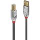 Kabel USB Lindy USB-A - USB-B 3 m Szary (36643)